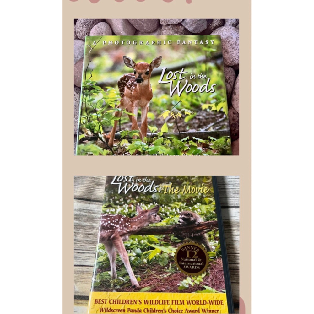 Lost in the woods Book & Movie